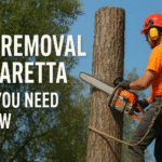 Tree Removal Alpharetta