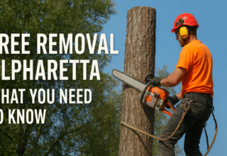Tree Removal Alpharetta