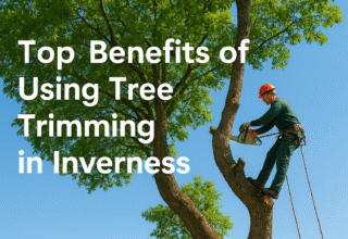 Top Benefits of Using Tree Trimming in Inverness