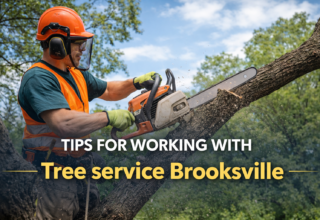 tree service Brooksville