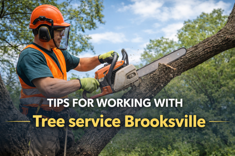 tree service Brooksville