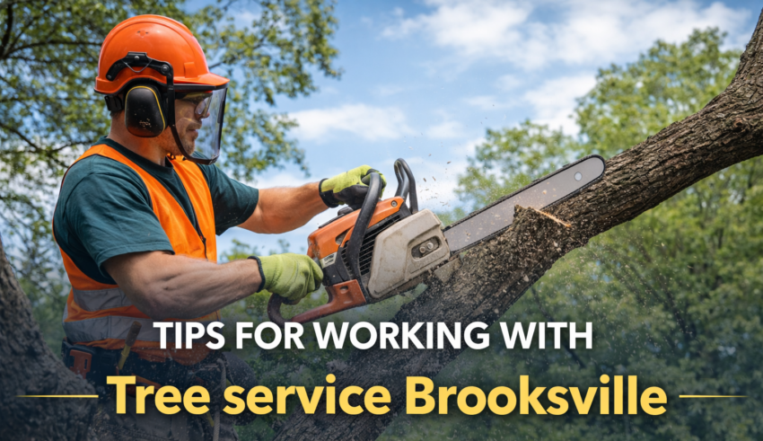 tree service Brooksville